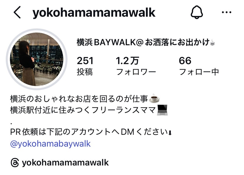 サブInstagramアカウントのプロフィール